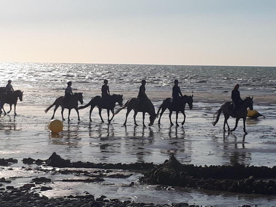 Kro Criel-sur-Mer Exteriör bild